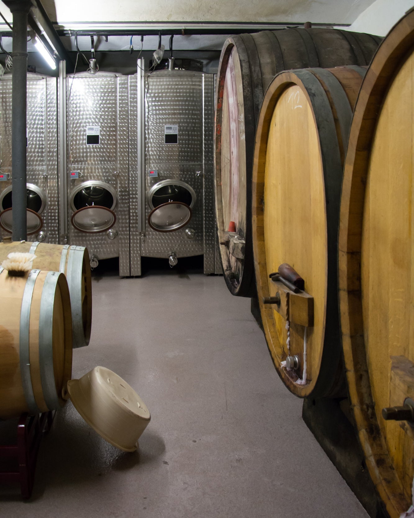Fässer im Weinkeller