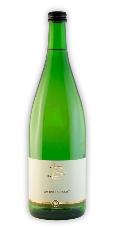 2024er Morio Muskat 1,0l